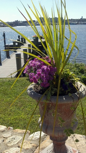 Fabulous waterfront year-round bed and breakfast. Sail into the harbor or motor up to the BEGH dock, relax in cosy rooms w/breakfast.