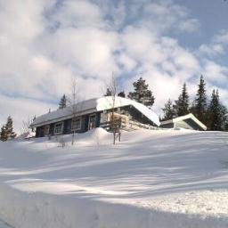 Fjällripa, löshälare och engagerad omvårdare.