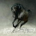 احمد العنزي (@kp13t) Twitter profile photo