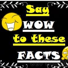 Wow Facts Profile