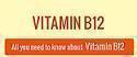 http://t.co/LmL2fwpm4a - All You Need To Know About Vitamin B12!