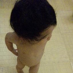 久しぶりに再開してみようかと …