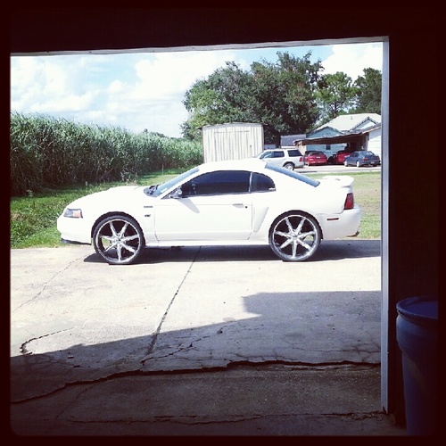 Blood Only Makes U Related , But Being Loyal Makes You Family !!# TeamMustangGt #Team24's ...Im Blessed&HIGHLY Grateful!