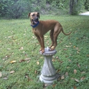 Sit Happens - @DaveStellato - Twitter