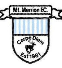 Mt Merrion F.C. Profile