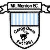 Mt Merrion F.C. (@mountmerrionfc) 's Twitter Profile