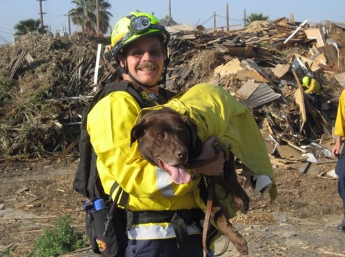 dogboyusar's profile picture. 