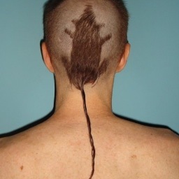 for all the rattail haters out there. Mess with the tail, get the horns.