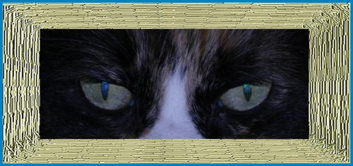 ok2bokie's profile picture. enjoys photography, mostly other peoples.