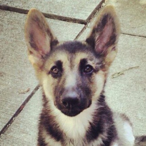 BethBhersma's profile picture. 