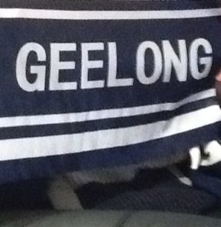 One eyed Cats supporter, music teacher and theatre and sport devotee.