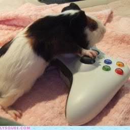 A guy that is interested in different things found on the internet :) (funny stuff)