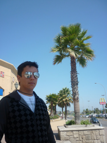 me add no meu msn;;;
celso.camargo49@hotmail.com