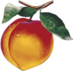 Georgia Library News (@galibgnus) Twitter profile photo Georgia Library News (@galibgnus) Twitter profile photo