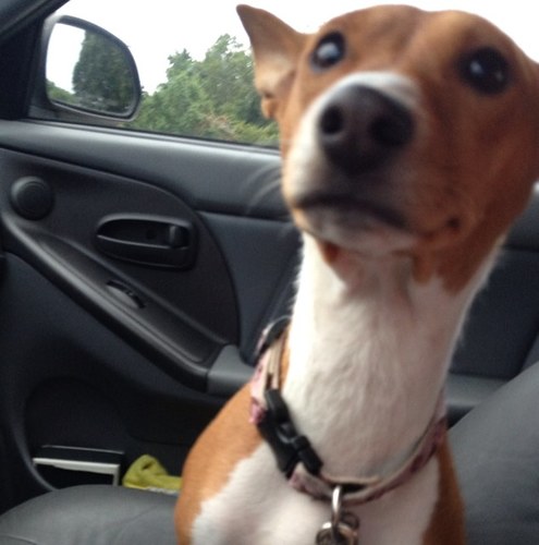 alainadurkac's profile picture. 