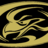 Woodland Hawks