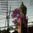 Jacqui Fox - @JacquiFox1 - Twitter