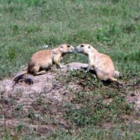 Cynthia Canner (@casacynders) 's Twitter Profile