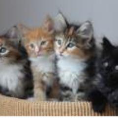 Parse3MD's profile picture. 