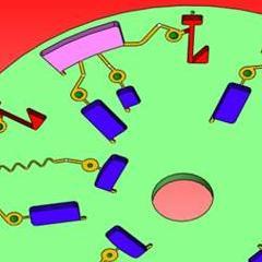 DCU Microfluidics by Jens Ducrée