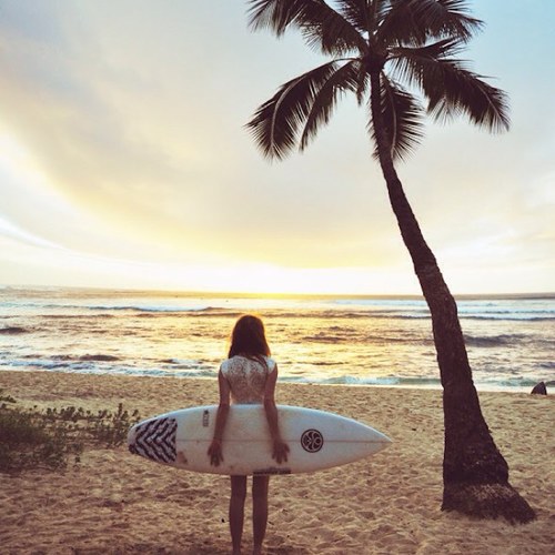 say_ness's profile picture. less flower, more power