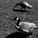 BC Jones - @philosophysoup - Twitter