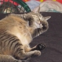 Amanda Lessard - @D142004 - Twitter