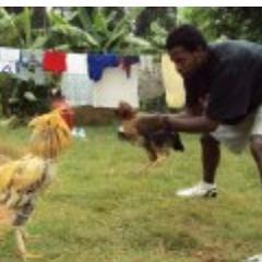 StevEgesa's profile picture. Honest hard working kenyan