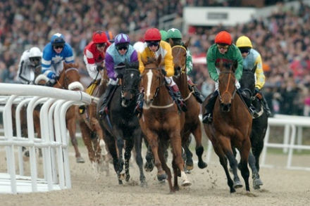 JennyHu92895483's profile picture. Racehorse owner and breeder. Mum of 2. Live in Surrey.