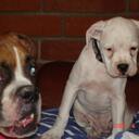 Jacob Casas - @Jacob7676 - Twitter