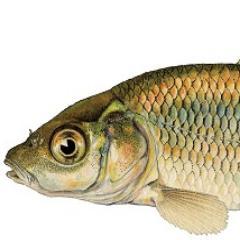 Quality fishing items at great low prices