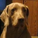 Kelli Webster - @Kwebster05 - Twitter