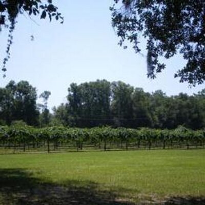 Log Cabin Winery Logwinery Twitter