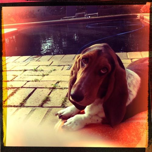 lizenel1706's profile picture. 