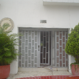 agus20011's profile picture. 