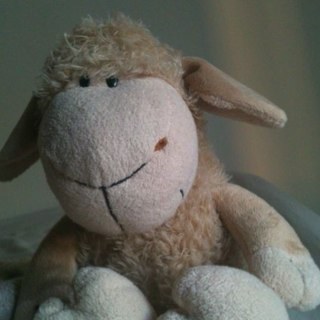 QuicoJengibre's profile picture. 