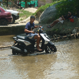 LyseOsri's profile picture. 