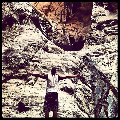 Help Personal Trainers become successful throughout their Fitness career.