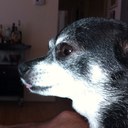 Dora Halter - @DoraHalter - Twitter