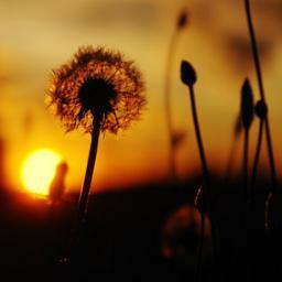 phantrannhungoc's profile picture. 