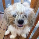 ryan jaramillo - @jenjensray - Twitter