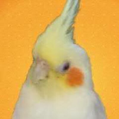 トリ ダ イースキ 今年の上半期名言はこの二つだな 北斗晶さん 出ないもんは出ないんだよ 平野レミさん ちゃんと出来てんのかな 分かんない いいわ出来なかったら出来ないで いつも心にレミを 拳に晶を