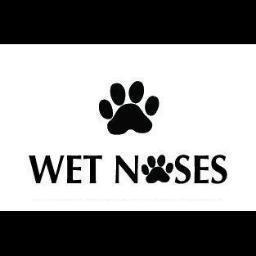 WetNoses_SRQ's profile picture. Wet Noses Sarasota FL Pet Grooming & Store for Dogs & Cats - holistic food, toys & more! BUY ONLINE: http://t.co/GPYwXylheS FACEBOOK: http://t.co/ue1pSw7Tws