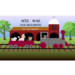 The main philosophy at Wig-Wag Dog Grooming is to provide the best possible care for your pet in a professional yet caring way. Visit us today!