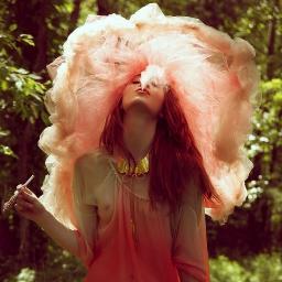 Todos somos unos genios. Pero si juzgas a un pez por su habilidad de escalar un árbol vivirá su vida creyendo que es estúpido. A. Einstein