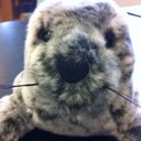 Douglas Seal - @DouglasTheSeal - Twitter