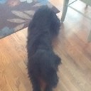 Jack Pelletier - @JackPelletier4 - Twitter