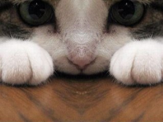 FantuzziLaura's profile picture. 