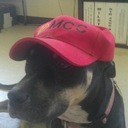 Kay - @kay4peace - Twitter