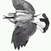 Birdclub Katwijk (@birdclubkatwijk) Twitter profile photo Birdclub Katwijk (@birdclubkatwijk) Twitter profile photo